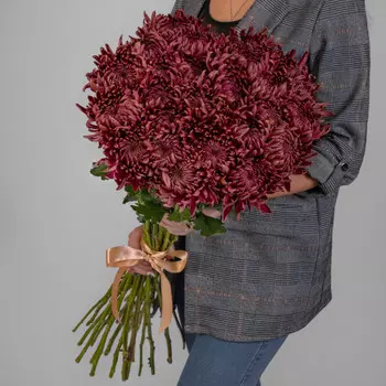 25 Бордовых Хризантем Бигуди