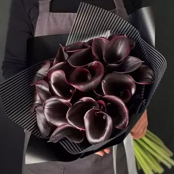 25 Бордовых Калл