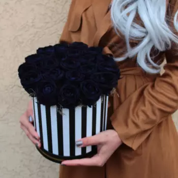 25 Черных Роз (40 см.) в коробке