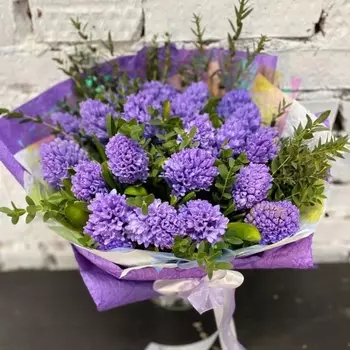 25 Фиолетовых Гиацинтов