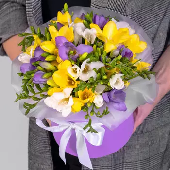 25 Фрезий Микс в коробке