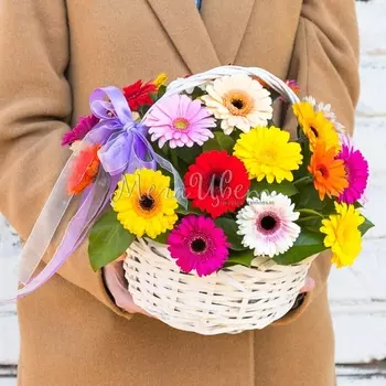 25 Гербер В Корзине