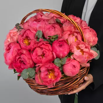 25 Коралловых Пионов в корзине