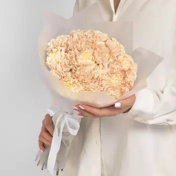 25 Коричневых Гвоздик