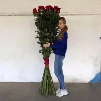 25 Красная Роза (180-200 см.)