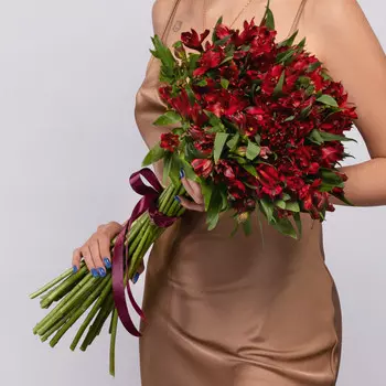 25 Красных Альстромерий