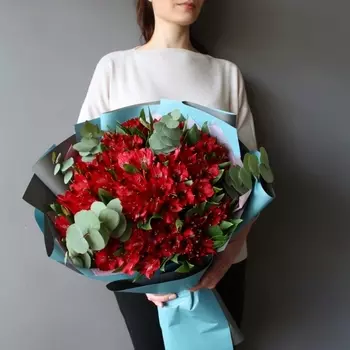 25 Красных Альстромерий в упаковке