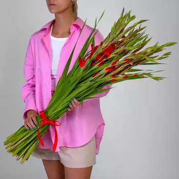 25 Красных Гладиолусов