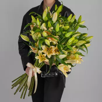 25 Кремовых Восточных Лилий