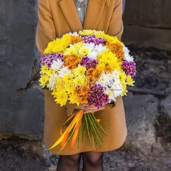 25 Кустовых Хризантем Микс