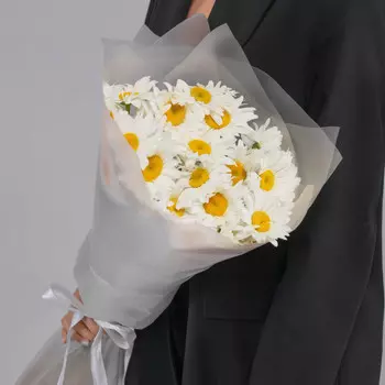25 Крупных Ромашек в упаковке