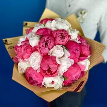 25 Малиновых и Белых Пионов в крафте