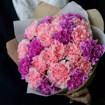 25 Малиновых и Розовых Гвоздик