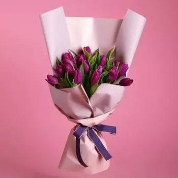 25 Малиновых Тюльпанов