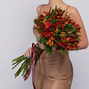 25 Оранжевых Альстромерий