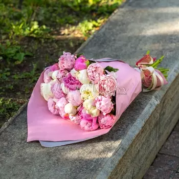 25 Пионов Микс в крафте