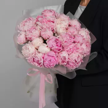 25 Пионов Сара Бернар в упаковке