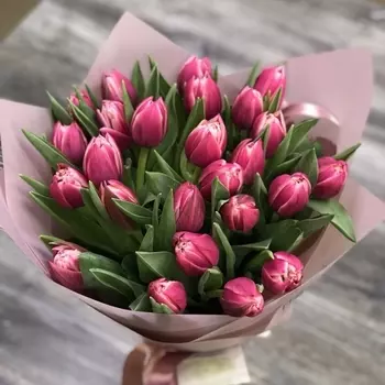 25 Пионовидных Тюльпанов Колумбус