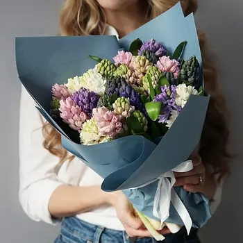 25 Разноцветных Гиацинтов