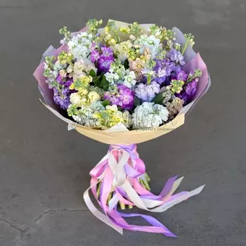 25 Разноцветных Маттиол