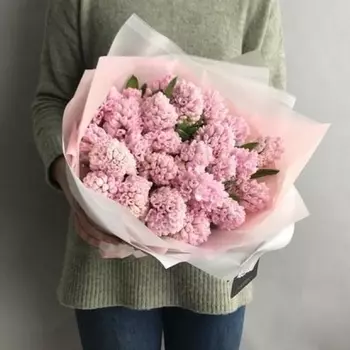 25 Розовых Гиацинтов