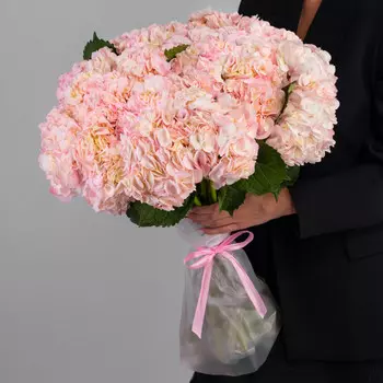 25 Розовых Гортензий
