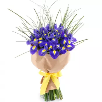 25 Синих Ирисов в крафте