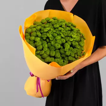 25 Зеленых Сантини