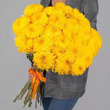 25 Желтых Хризантем Бигуди