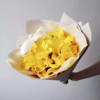 25 Желтых Калл