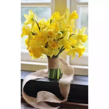 25 Желтых Нарциссов