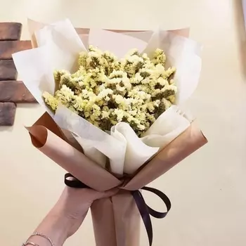 25 Желтых Статиц