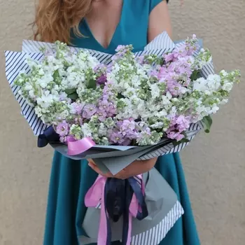 27 Разноцветных Маттиол