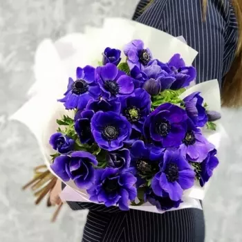 27 Синих Анемонов