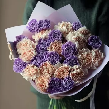 29 Кремово-Сиреневых Гвоздик