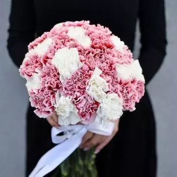 31 Белая и Розовая Гвоздика