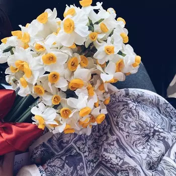 31 Белый Нарцисс