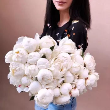 31 Белый Пион