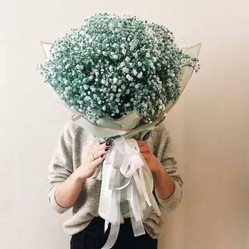 31 Голубая Гипсофила