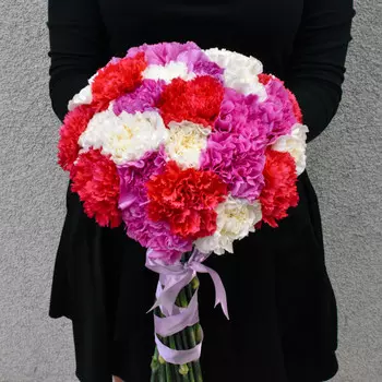 31 Разноцветная Гвоздика