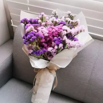 31 Разноцветная Статица