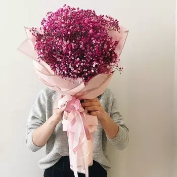 31 Розовая Гипсофила