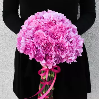 31 Розовая Гвоздика