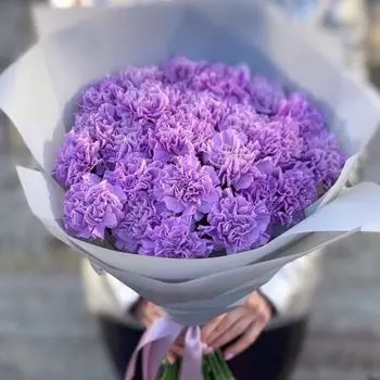 31 Сиреневая Гвоздика