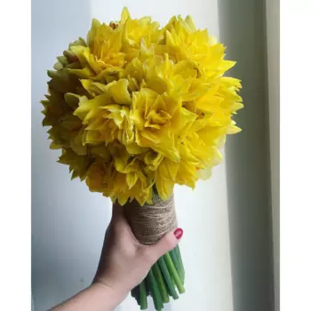 31 Желтый Махровый Нарцисс