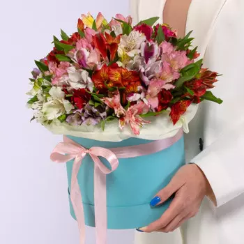 35 Альстромерий Микс в коробке