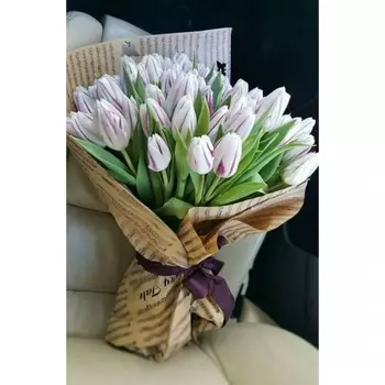 35 Бело-Сиреневых Тюльпанов