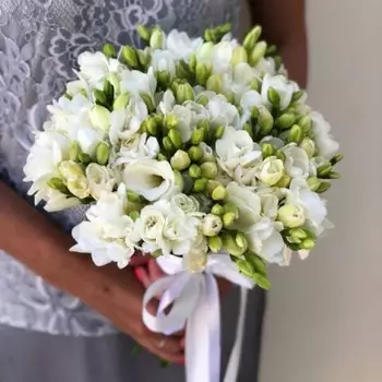 41 Белая Фрезия