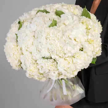 35 Белых Гортензий
