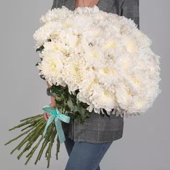 35 Белых Хризантем Бигуди